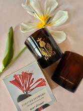 Load image into Gallery viewer, THE QUIET BOTANIST CANDLES