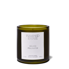 Load image into Gallery viewer, GOLDEN POLLINATOR CANDLE