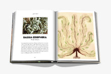 Load image into Gallery viewer, ASSOULINE ALULA FLORA SAUDI ARABIA