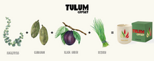 Load image into Gallery viewer, ASSOULINE TULUM GYPSET - TRAVEL FROM HOME CANDLE
