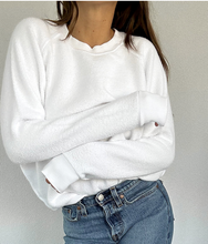 Load image into Gallery viewer, PERFECT WHITE TEE ZIGGY REVERSE TERRY SWEATSHIRT CORE COLORS
