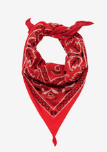 Load image into Gallery viewer, Communitie - Cashmere Bandana