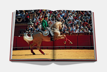 Load image into Gallery viewer, ASSOULINE SEVILLA ARTE SPAIN