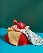 Load image into Gallery viewer, MIXED SALAD STRIPE NAPKIN SET OF SIX