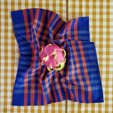 Load image into Gallery viewer, GRID CHECKER NAPKIN PAIR OF TWO