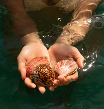 Load image into Gallery viewer, SEASHELL BOTANICAL LIP BALM