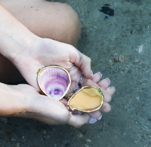 Load image into Gallery viewer, SEASHELL BOTANICAL PERFUME IN SEASHELL