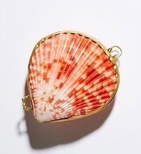 Load image into Gallery viewer, SEASHELL BOTANICAL PERFUME IN SEASHELL