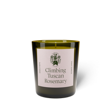 Load image into Gallery viewer, FLAMINGO ESTATE Climbing Tuscan Rosemary Candle