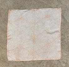 Load image into Gallery viewer, UPSTATE Plant Based Dye Kit in Rose