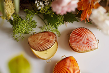 Load image into Gallery viewer, SEASHELL BOTANICAL PERFUME IN SEASHELL