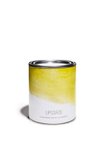 Load image into Gallery viewer, UPSTATE Plant Based Dye Kit in Turmeric