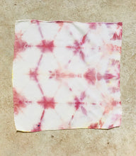 Load image into Gallery viewer, UPSTATE Plant Based Dye Kit in Rose