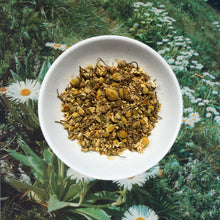 Load image into Gallery viewer, FLOWERHEAD TEA CHAMOMILLIONAIRES