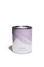 Load image into Gallery viewer, UPSTATE Plant Based Dye Kit in Rose