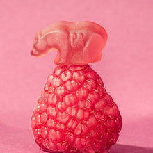 Load image into Gallery viewer, CALIFORNIA GUMMY BEARS Raspberry - Gummy Bears - Real Fruit