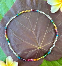 Load image into Gallery viewer, SHORT RAINBOW LEI 18-19”