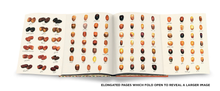Load image into Gallery viewer, ASSSOULINE Saudi Dates: A Portrait of the Sacred Fruit
