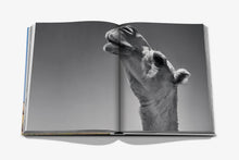 Load image into Gallery viewer, ASSOULINE CAMELS FROM SAUDI ARABIA
