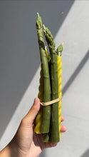 Load image into Gallery viewer, HAPPY ORGANICS BEESWAX FRUIT AND VEGGIES
