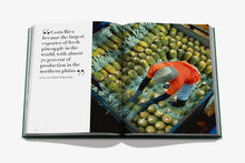 Load image into Gallery viewer, COSTA RICA VIDA
