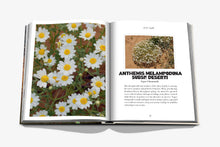 Load image into Gallery viewer, ASSOULINE ALULA FLORA SAUDI ARABIA
