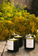 Load image into Gallery viewer, GOLDEN POLLINATOR CANDLE
