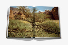Load image into Gallery viewer, ASSOULINE ALULA FLORA SAUDI ARABIA
