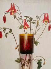 Load image into Gallery viewer, THE QUIET BOTANIST CANDLES
