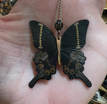 Load image into Gallery viewer, JAMES BANKS TWO SIDED SWALLOWTAIL BUTTERFLY
