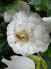 Load image into Gallery viewer, HARGREAVES AGNES SNAIL POD PENDANT (pendant only) 18k yellow gold and Old Mine Cut Diamonds with hand engraved scrolls
