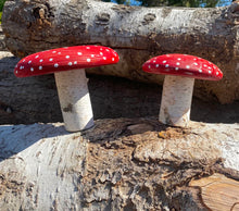 Load image into Gallery viewer, Redwood and Birch Handmade Mushrooms 🍄 Toadstools
