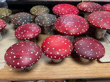 Load image into Gallery viewer, Redwood and Birch Handmade Mushrooms 🍄 Toadstools
