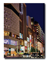 Load image into Gallery viewer, ASSOULINE TOKYO CHIC BOOK
