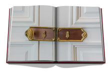 Load image into Gallery viewer, ASSOULINE Michele Bönan: Signature Details Book
