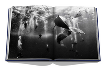 Load image into Gallery viewer, ASSOULINE OCEAN WANDERLUST
