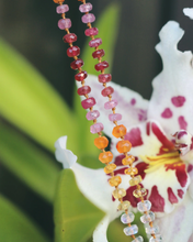Load image into Gallery viewer, MOONSTONE SUNSET LEI 31" LONG   WHITE, RED, PINK, YELLOW, ORANGE
