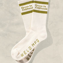 Load image into Gallery viewer, GROWN IN CALIFORNIA SOCKS KIDS AND ADULTS GREEN AND CREAM
