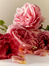 Load image into Gallery viewer, FLAMINGO ESTATE EUPHORIA BAR SOAP Night Blooming Jasmine &amp; Citrus Blossom Bar Soap
