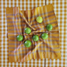 Load image into Gallery viewer, GRID CHECKER NAPKIN PAIR OF TWO
