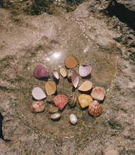 Load image into Gallery viewer, SEASHELL BOTANICAL PERFUME IN SEASHELL
