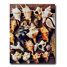 Load image into Gallery viewer, ASSOULINE  ZANZIBAR BOOK
