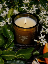 Load image into Gallery viewer, FLAMINGO ESTATE 8OZ Jasmine &amp; Damask Rose Candle
