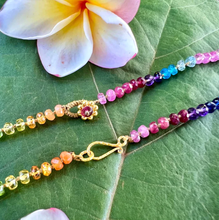 Load image into Gallery viewer, SHORT RAINBOW LEI 18-19”
