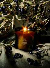 Load image into Gallery viewer, FLAMINGO ESTATE 8OZ OLIVE TREE CANDLE
