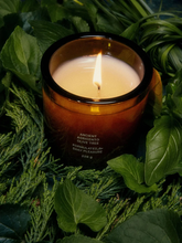 Load image into Gallery viewer, FLAMINGO ESTATE 8OZ OLIVE TREE CANDLE
