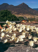 Load image into Gallery viewer, OAXACAN HANDMADE BEESWAX LARGE WEDDING VELAS CANDLES WITH FLOWERS

