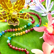Load image into Gallery viewer, MID LENGTH RAINBOW LEI  25"-27”

